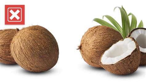 tf2 coconut|TF2 does not rely on coconut file to start .